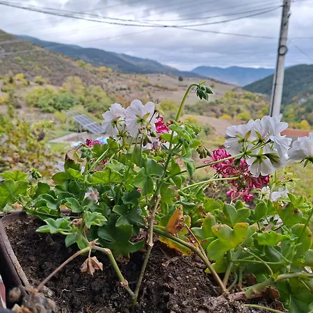 у нико * Orehovo