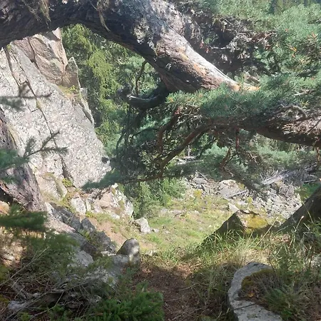 у нико 招待所 Orehovo