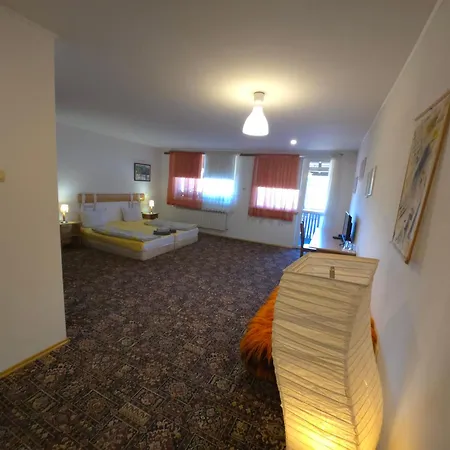 у нико 招待所 *