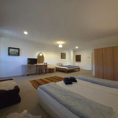 招待所 у нико