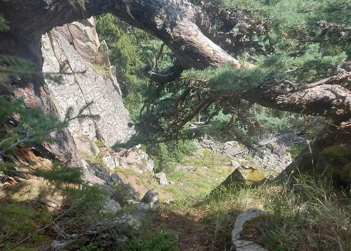 у нико Casa de hóspedes Orehovo