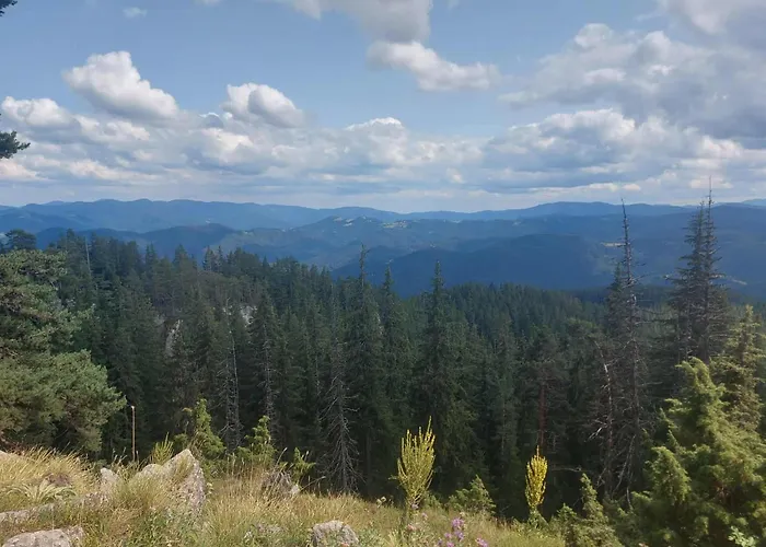 у нико * Orehovo